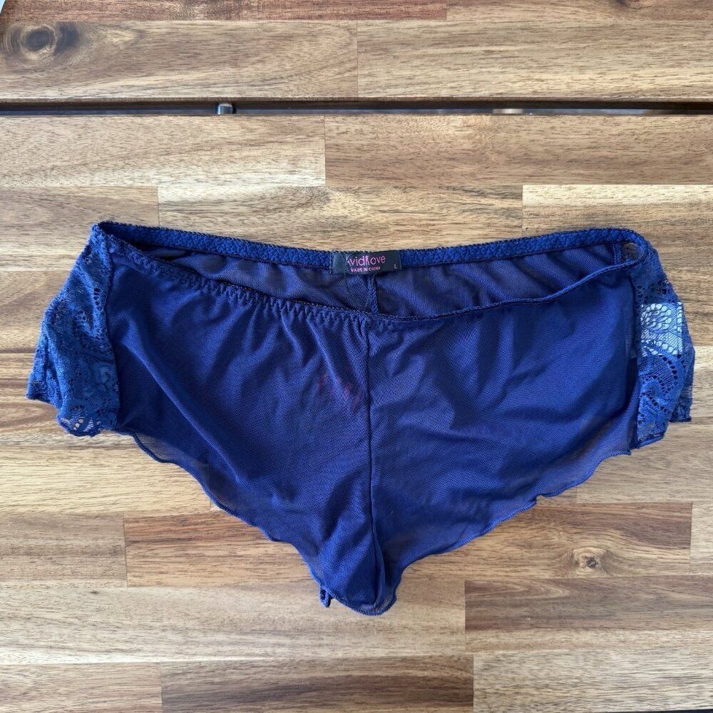 Avidlove Sheer Lace‎ Underwear Panties Hipster Size LARGE. NWT